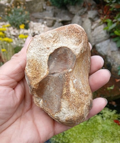 Fossil ice age - ~ice, age~woolly